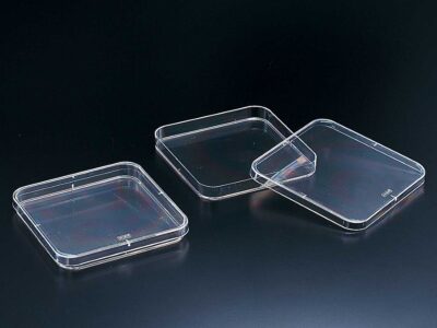 Polystyrene Dish (square type)