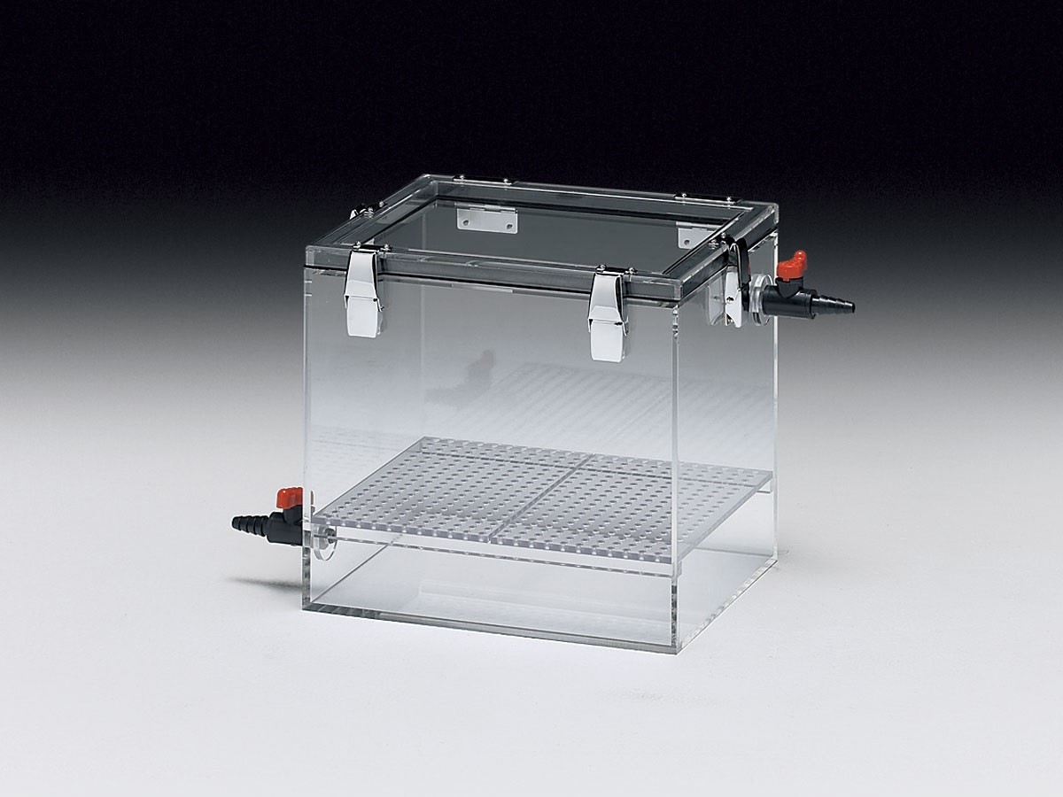 Anesthesia Box (for small animals)